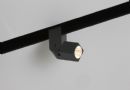 Online LED Ray Spot DOT